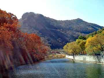 新澳门二四六天天彩，决战荒岛